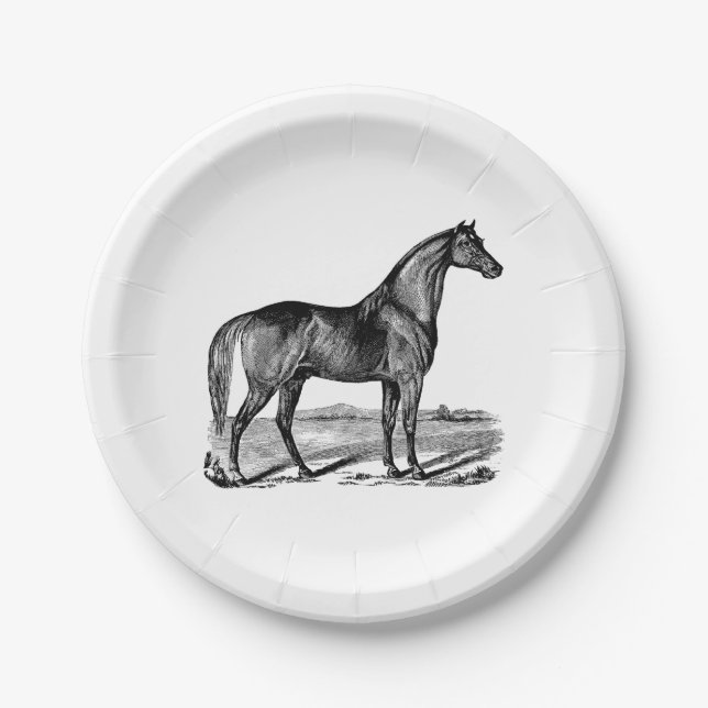 Assiettes En Carton Cheval vintage debout (Devant)