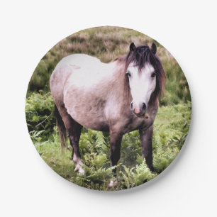 ASSIETTES EN CARTON CHEVAUX