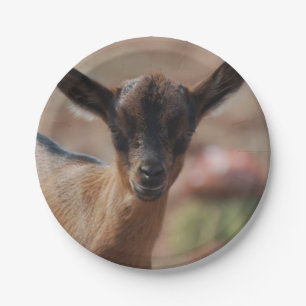 Assiettes En Carton Chèvre