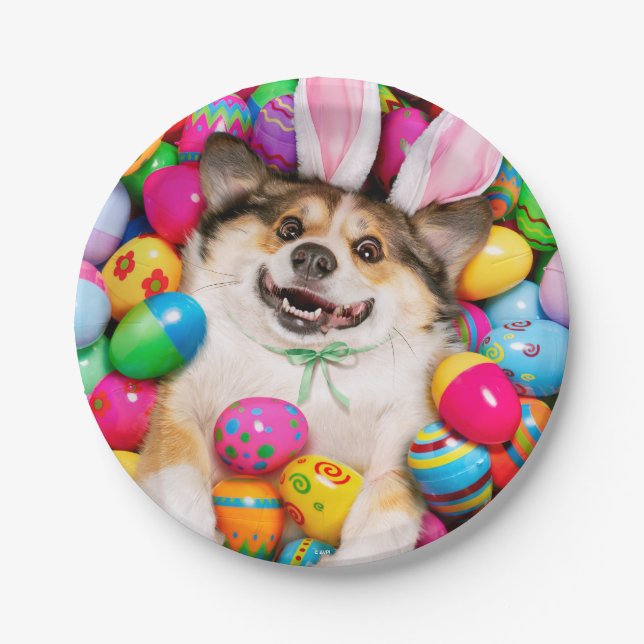 Assiettes En Carton Chien allongé sur des œufs de Pâques (Devant)