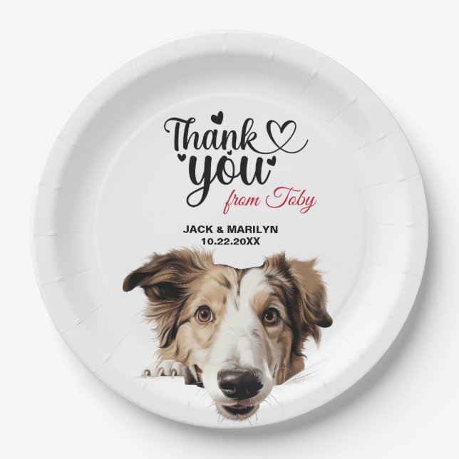 Assiettes En Carton Chien Borzoï (Devant)