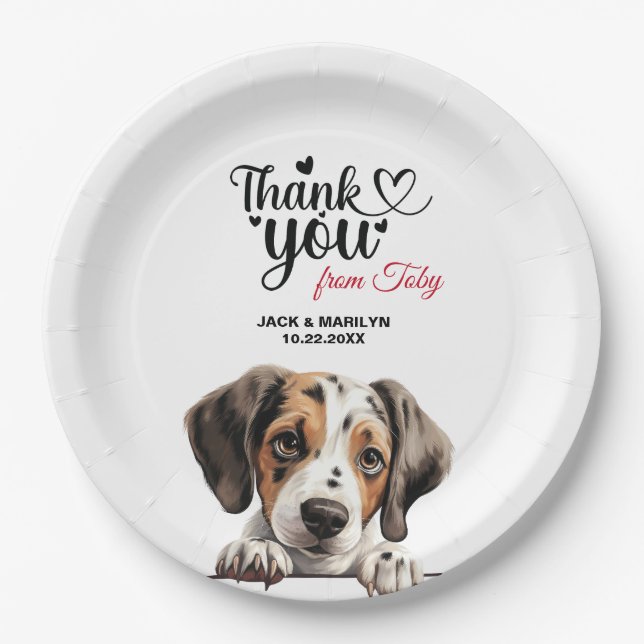 Assiettes En Carton Chien d'arrêt (Devant)