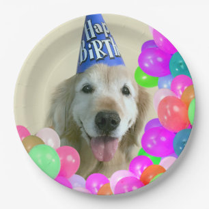 Assiettes En Carton Chien de golden retriever avec l'anniversaire de