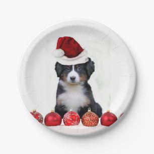 Assiettes En Carton Chien de montagne de Bernese de Noël