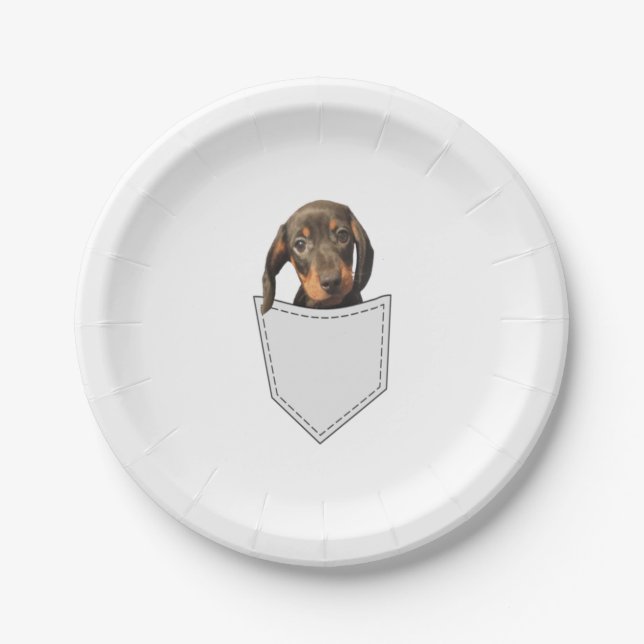 Assiettes En Carton Chien de poche Dachshund (Devant)