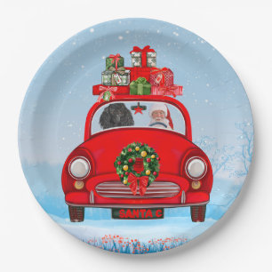 Assiettes En Carton Chien De Poiche En Voiture Avec Le Père Noël