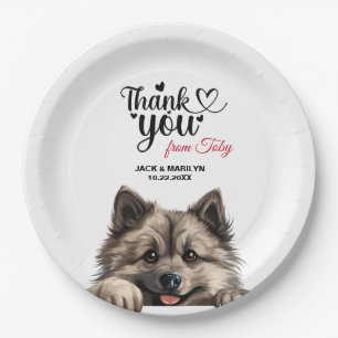 Assiettes En Carton Chien Keeshond