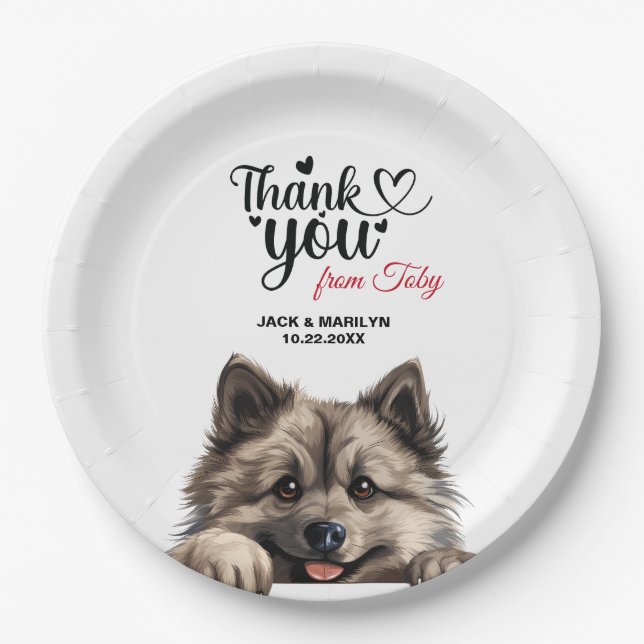 Assiettes En Carton Chien Keeshond (Devant)