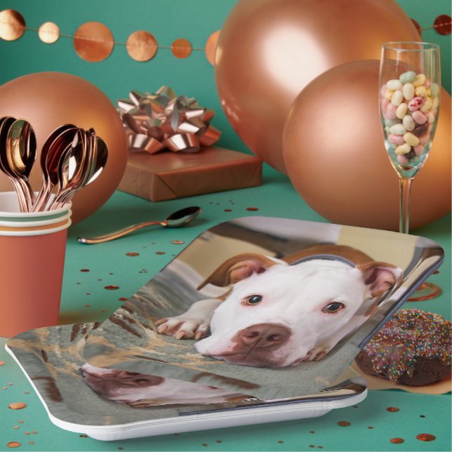 Assiettes En Carton Chien mignon (Multi)