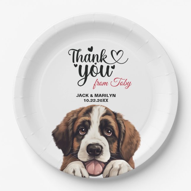 Assiettes En Carton Chien St. Bernard (Devant)