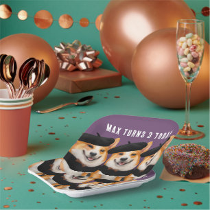 Assiettes En Carton Chiens De Corgi Chic Chic Vous Souhaitent Bon Anni