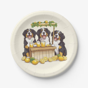 Assiettes En Carton Chiens De Montagne Bernois Couchant Un Socle De Le