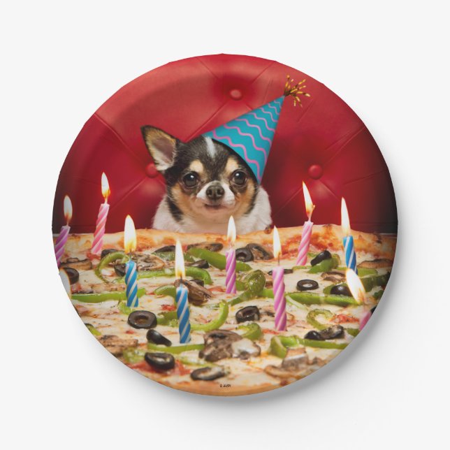 Assiettes En Carton Chihuahua Anniversaire Pizza Pie (Devant)