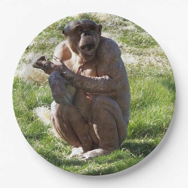 ASSIETTES EN CARTON CHIMPANZÉ (Devant)