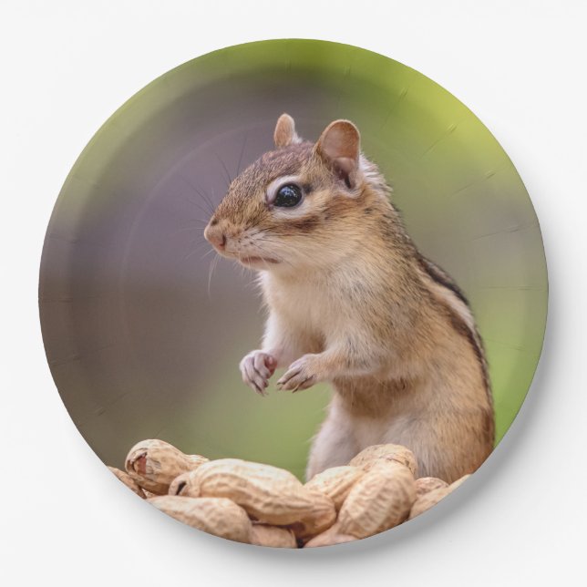 Assiettes En Carton Chipmunk aux cacahuètes (Devant)