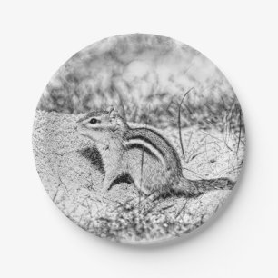 Assiettes En Carton Chipmunk Sketch