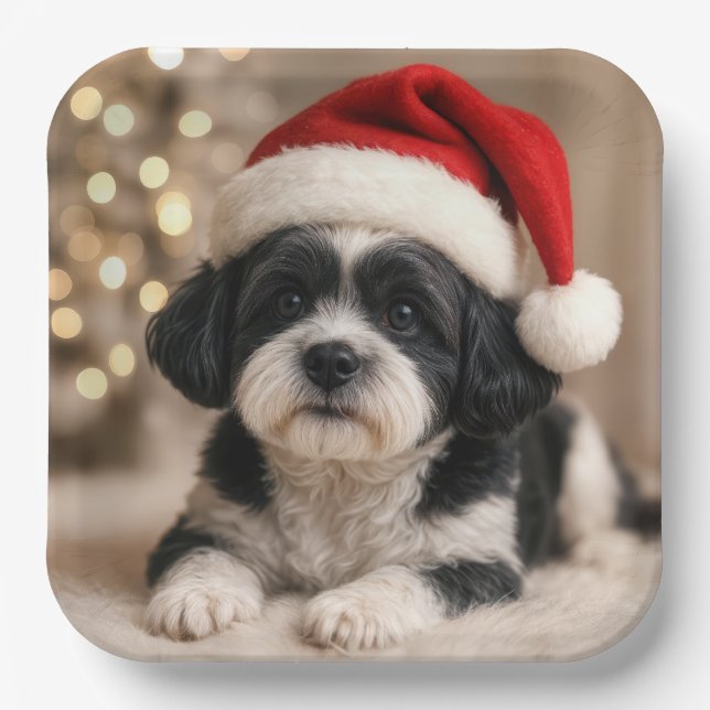 Assiettes En Carton Christmas Shih Tzu Dog With Santa Hat (Recto)