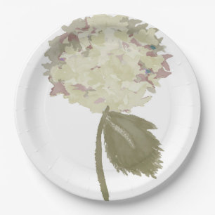 Assiettes En Carton Chrysanthème d'ivoire