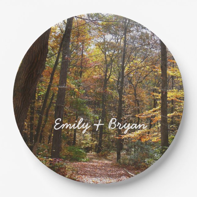 Assiettes En Carton Chute Sunlit dans le parc national de Laurel Hill (Devant)