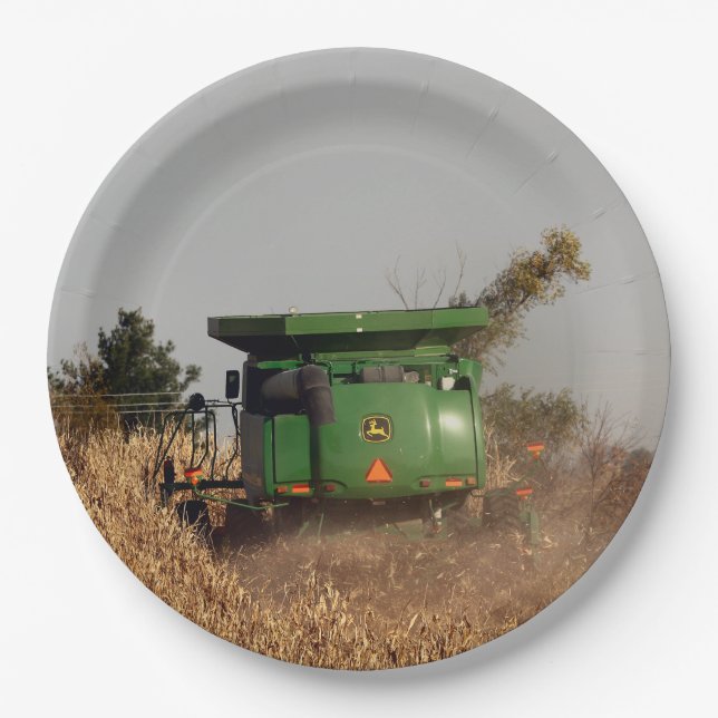 Assiettes En Carton Cimbine (Devant)