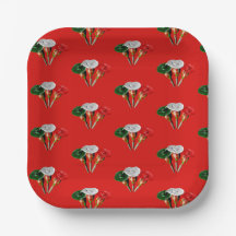 Cinco de mayo, fiesta plaque mexicaine papier