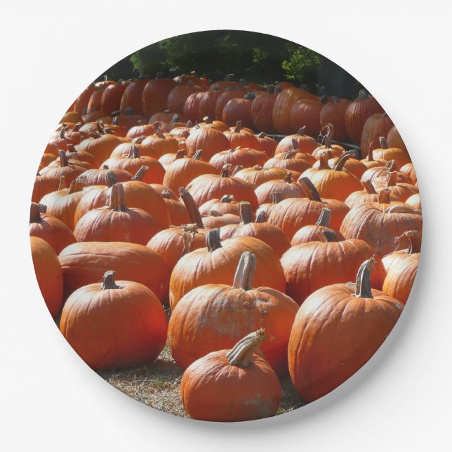 Assiettes En Carton Citrouille Patch Automne Harvest Photographie (Devant)