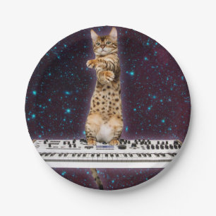 Assiettes En Carton Clavier chat frappe à nouveau