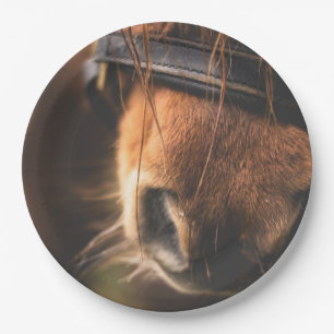 Assiettes En Carton Closeudo d'un mignon cheval Brown nez