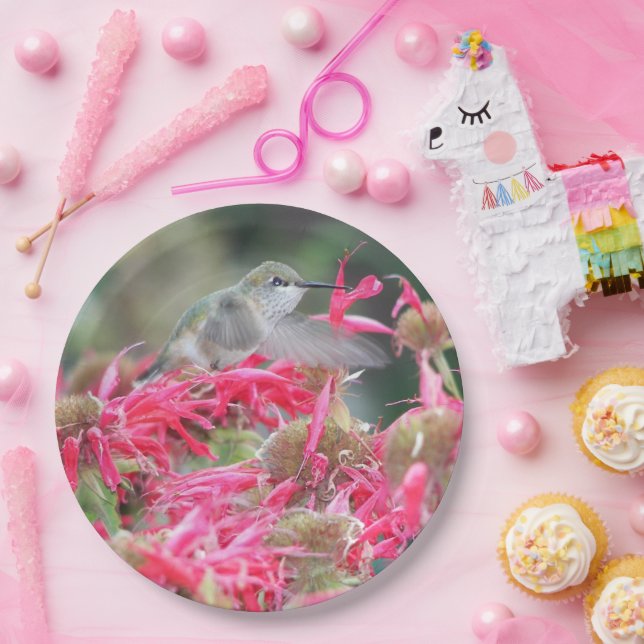 Assiettes En Carton Colibri et fleurs roses (Fête)