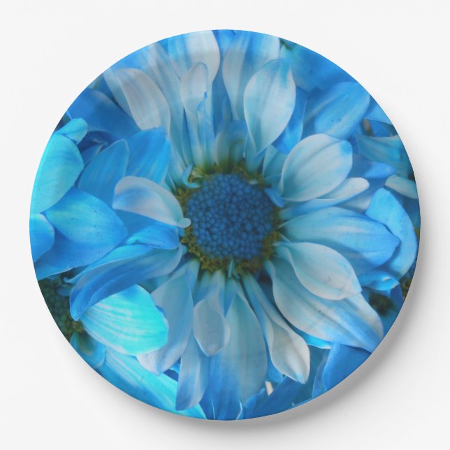 Assiettes En Carton Collaert (Devant)