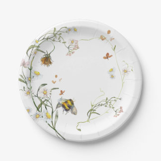 Assiettes En Carton Collection de mi-été