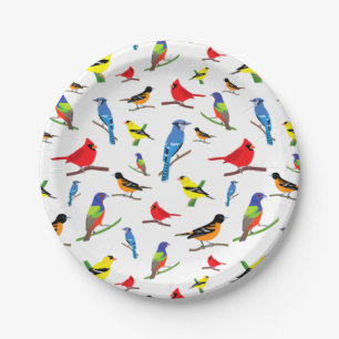 Assiettes En Carton Coloré Oiseaux nord-américains Motif Samsung Gala