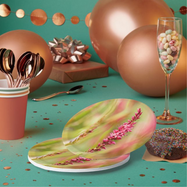 Assiettes En Carton coloris (Multi)