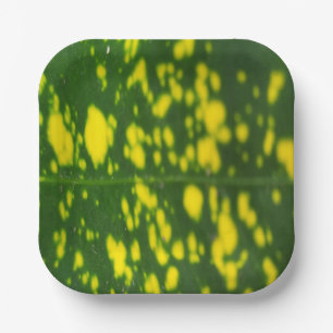 Assiettes En Carton Conception de la feuille verte et du point jaune 7