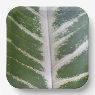 Assiettes En Carton Conception Élégante De Feuille Verte De 9 Pouces