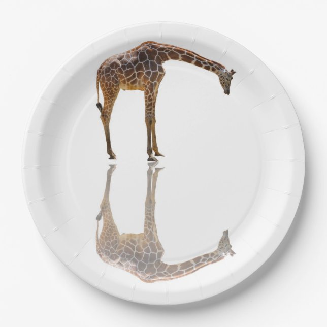 ASSIETTES EN CARTON CONTEMPLATION (Devant)