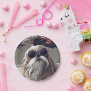Assiettes En Carton Cool Shih Tzu cheveux longs Lunettes de soleil vin
