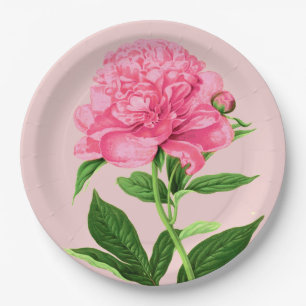 Assiettes En Carton Copie botanique vintage, pivoine de rose en pastel