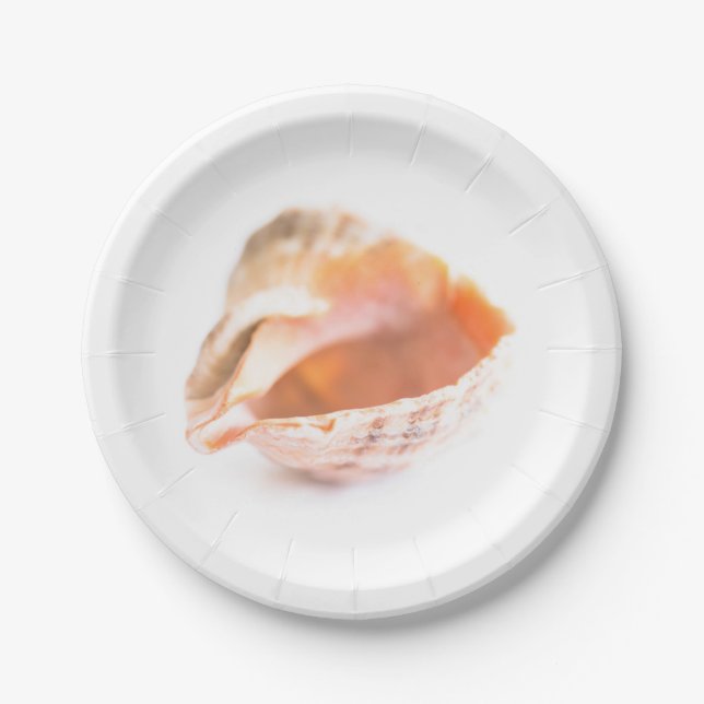 Assiettes En Carton Coquillage (Devant)