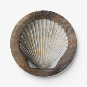 Assiettes En Carton Coquillage - Plaque papier