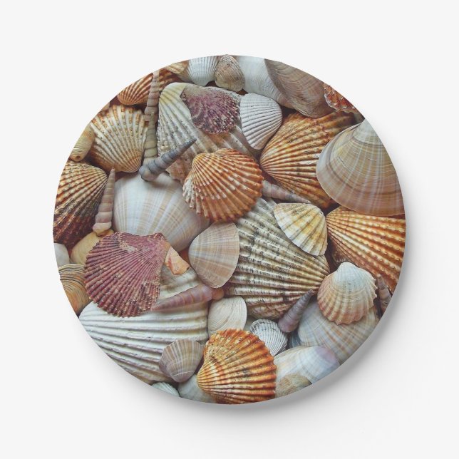 Assiettes En Carton Coquillages (Devant)