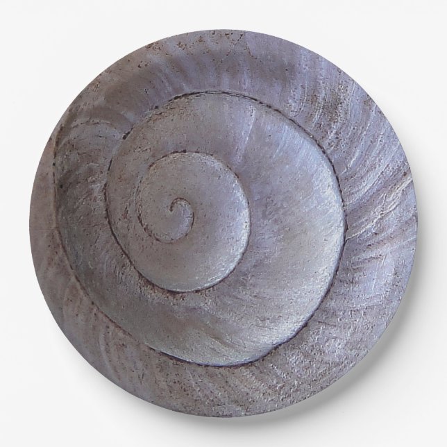 Assiettes En Carton Coquille blanche (Devant)