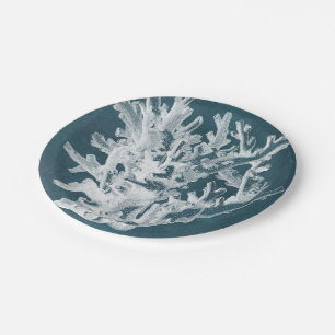 Assiettes En Carton Corail azuré I