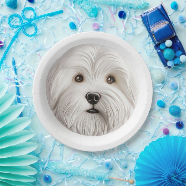 Assiettes En Carton Coton De Tulear Chien 3D Inspiré (Fête)