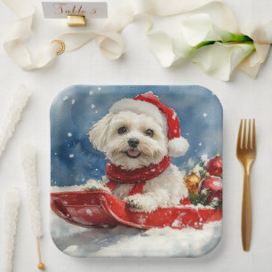 Assiettes En Carton Coton De Tulear dans le traîneau Laissez tomber la