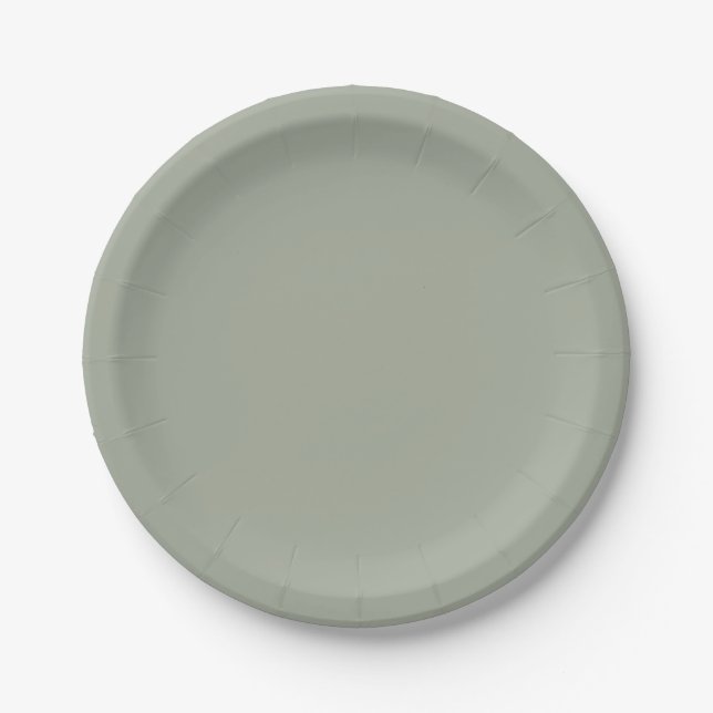 Assiettes En Carton Couleur solide Désert Sage (Devant)