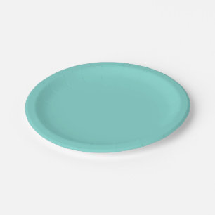 Assiettes En Carton Couleur solide : Turquoise Aqua