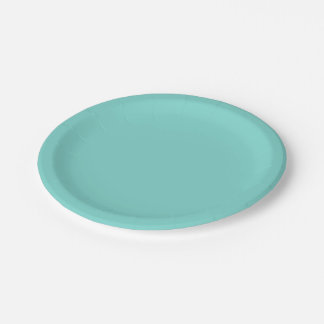 Assiettes En Carton Couleur solide : Turquoise Aqua