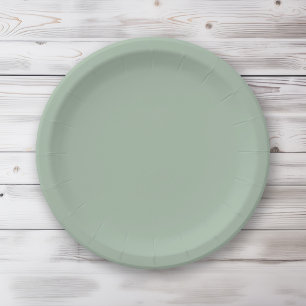 Assiettes En Carton Couleur unie vert clair Sage Mist
