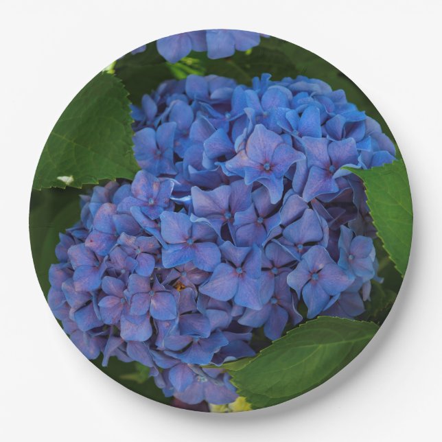 Assiettes En Carton Couleurs Bleues - L'Hydrangée Bleue (Devant)